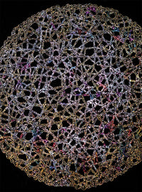 KnotVerse detail 1