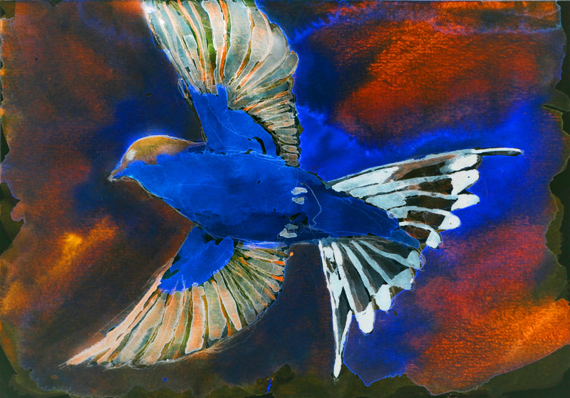 Blue Sparrow in the Antiworld