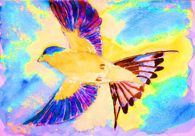 Yellow Swallow Purple Wings