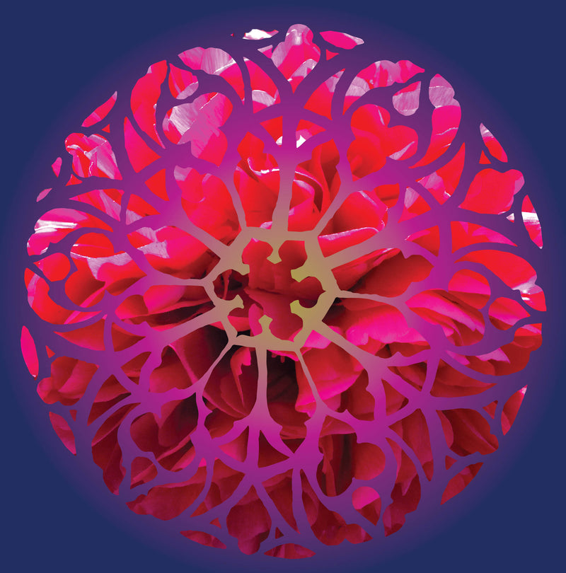 Rose Within a Rose Window