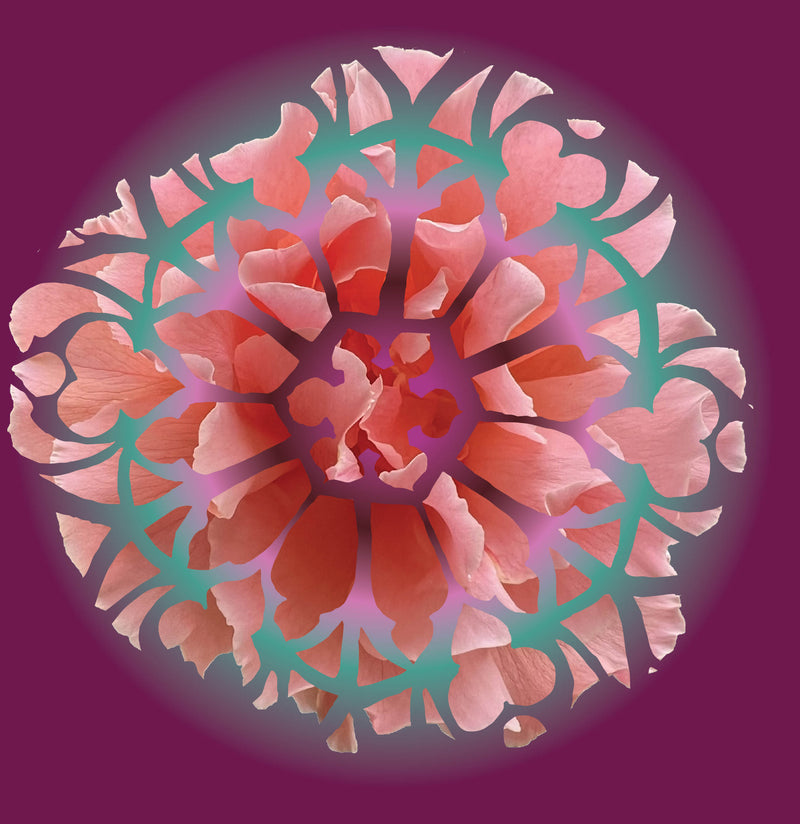 Rose Within a Rose Window 2