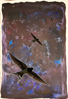 Spiralling Swallows in a Divergent World 4
